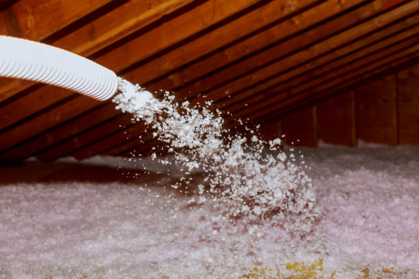 Best Residential Insulation in Edgewater, NJ